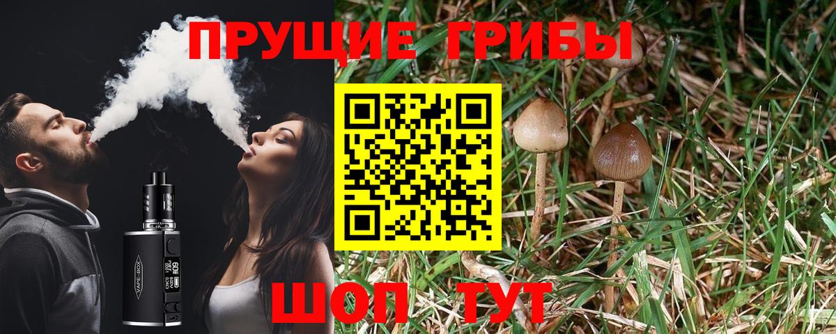 Галлюциногенные грибы мицелий  Вход с VPN  Батайск 